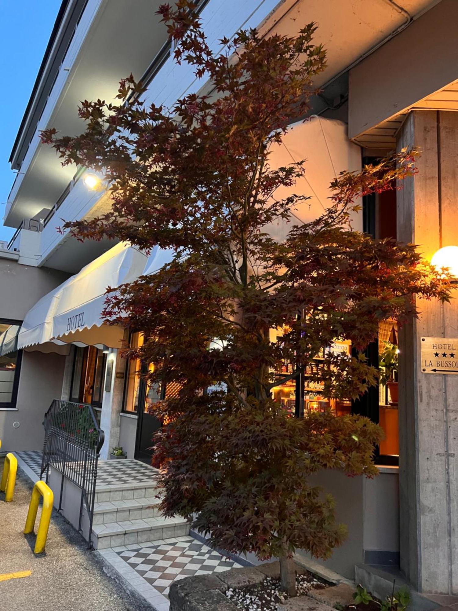 Hotel La Bussola Padenghe sul Garda Exterior foto